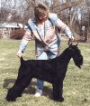 Foxwood's Blk Diamond V Jobon